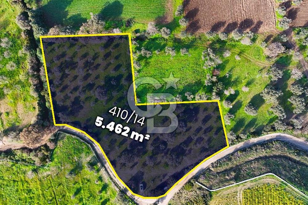Datça’da Kızlan’da Satılık Yolu olan Bağ Evi İmarlı 5.462 m² Arazi