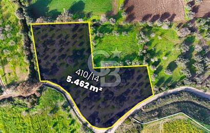 Datça’da Kızlan’da Satılık Yolu olan Bağ Evi İmarlı 5.462 m² Arazi