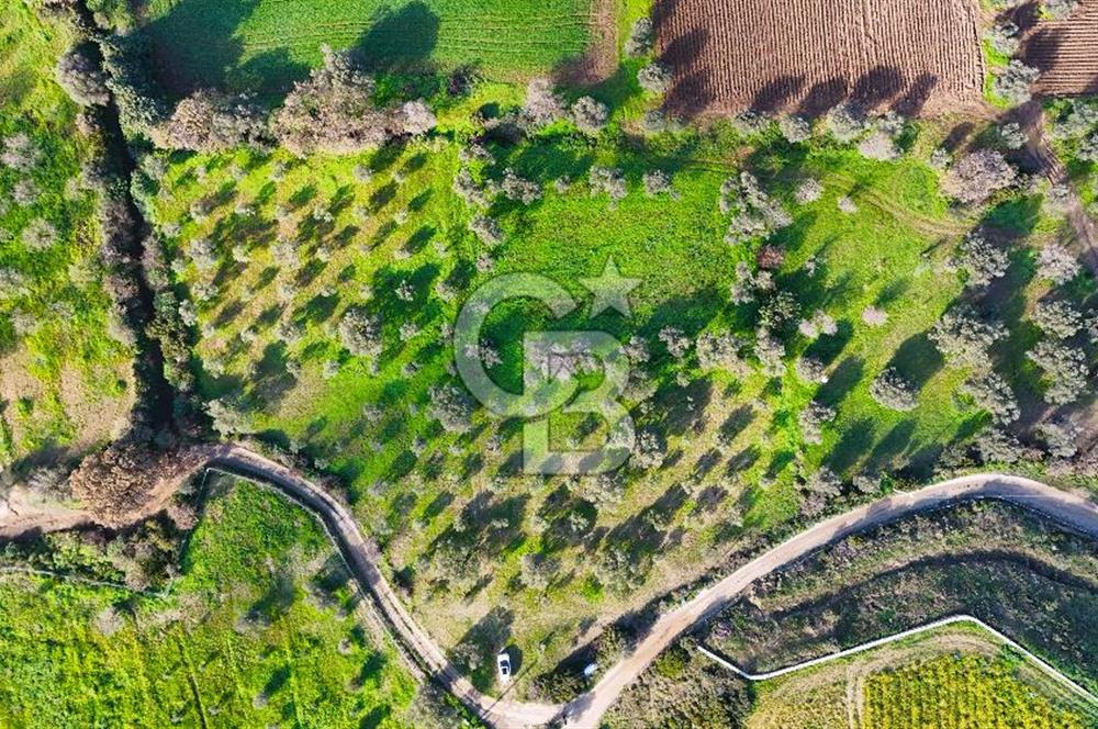 Datça’da Kızlan’da Satılık Yolu olan Bağ Evi İmarlı 5.462 m² Arazi