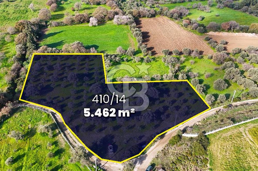 Datça’da Kızlan’da Satılık Yolu olan Bağ Evi İmarlı 5.462 m² Arazi