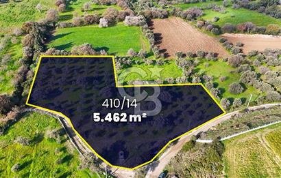 Datça’da Kızlan’da Satılık Yolu olan Bağ Evi İmarlı 5.462 m² Arazi