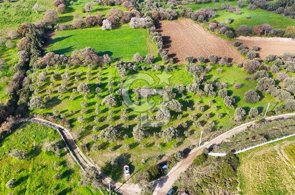 Datça’da Kızlan’da Satılık Yolu olan Bağ Evi İmarlı 5.462 m² Arazi
