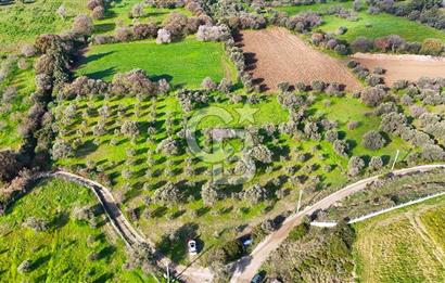 Datça’da Kızlan’da Satılık Yolu olan Bağ Evi İmarlı 5.462 m² Arazi