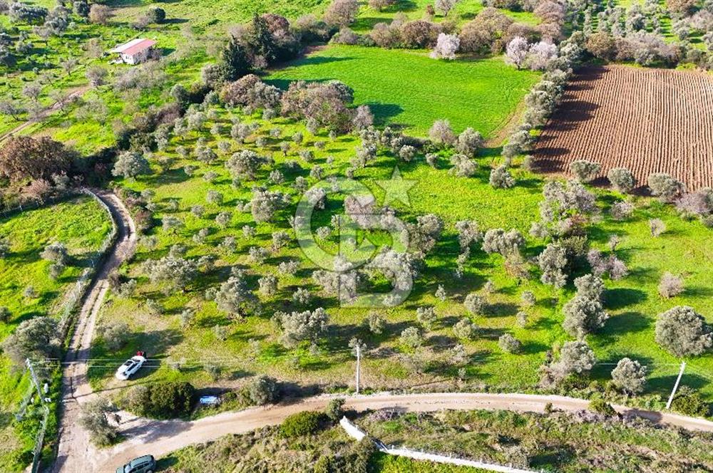 Datça’da Kızlan’da Satılık Yolu olan Bağ Evi İmarlı 5.462 m² Arazi