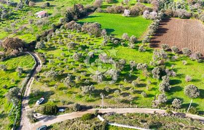 Datça’da Kızlan’da Satılık Yolu olan Bağ Evi İmarlı 5.462 m² Arazi