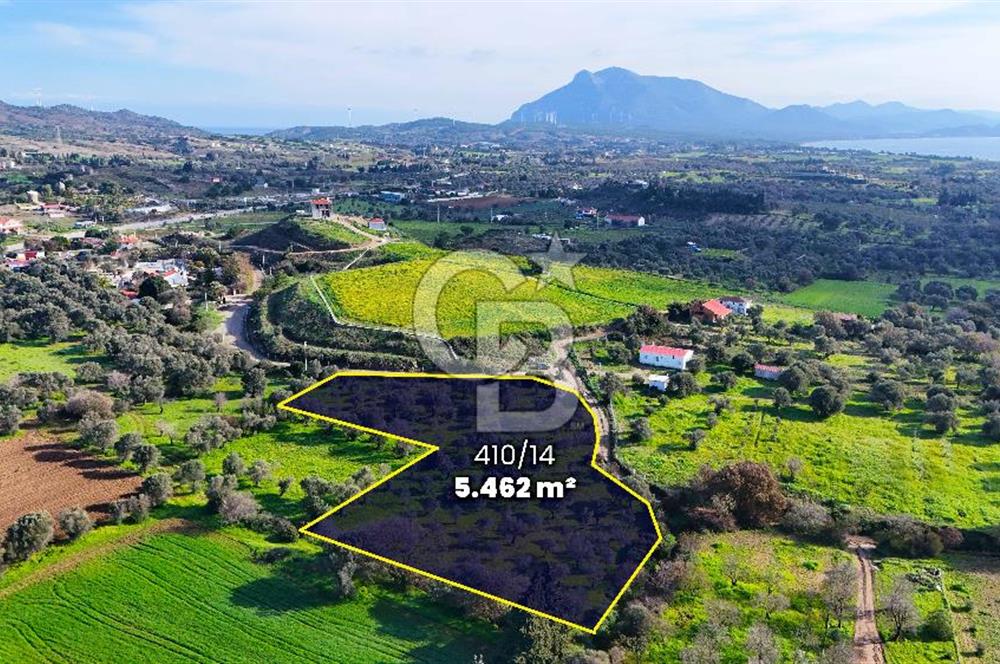 Datça’da Kızlan’da Satılık Yolu olan Bağ Evi İmarlı 5.462 m² Arazi