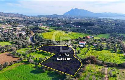 Datça’da Kızlan’da Satılık Yolu olan Bağ Evi İmarlı 5.462 m² Arazi