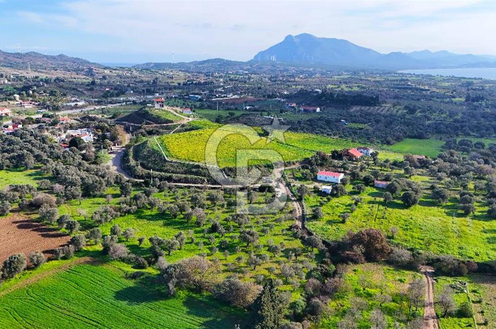 Datça’da Kızlan’da Satılık Yolu olan Bağ Evi İmarlı 5.462 m² Arazi