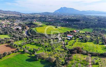 Datça’da Kızlan’da Satılık Yolu olan Bağ Evi İmarlı 5.462 m² Arazi