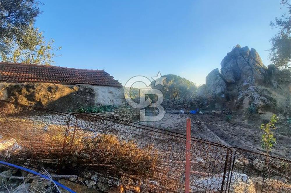 MİLAS SARIKAYA MAHALLESİ GÖKSEKİ KÖYİÇİ HOBİ BAHÇESİ