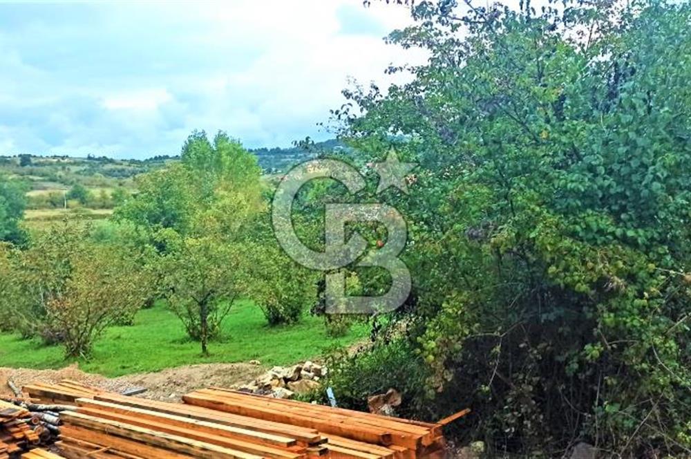 ÇATALÇA MÜKEMMEL ÇİFTLİK VE ARAZİSİ ANA YOL ÜZERİ