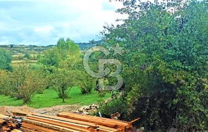ÇATALÇA MÜKEMMEL ÇİFTLİK VE ARAZİSİ ANA YOL ÜZERİ