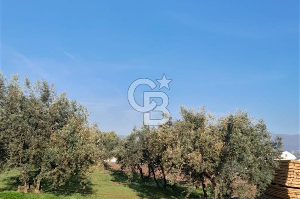 ERDEK KASTRİ MEVKİİNDE KAÇIRILMAYACAK BİR YATIRIM FIRSATI