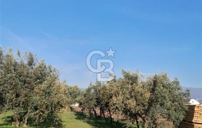 ERDEK KASTRİ MEVKİİNDE KAÇIRILMAYACAK BİR YATIRIM FIRSATI