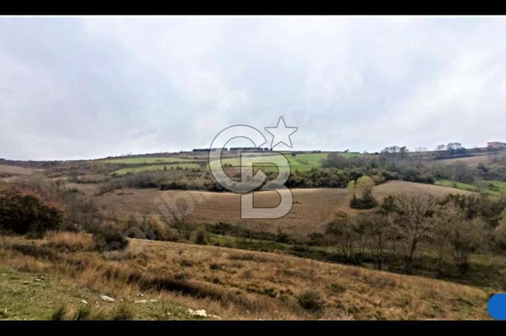 ÇATALÇA MÜKEMMEL ÇİFTLİK VE ARAZİSİ ANA YOL ÜZERİ