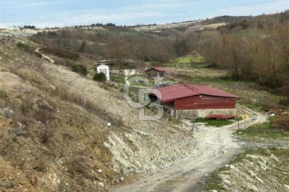 ÇATALÇA MÜKEMMEL ÇİFTLİK VE ARAZİSİ ANA YOL ÜZERİ