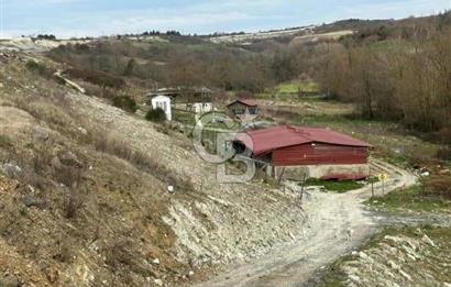 ÇATALÇA MÜKEMMEL ÇİFTLİK VE ARAZİSİ ANA YOL ÜZERİ