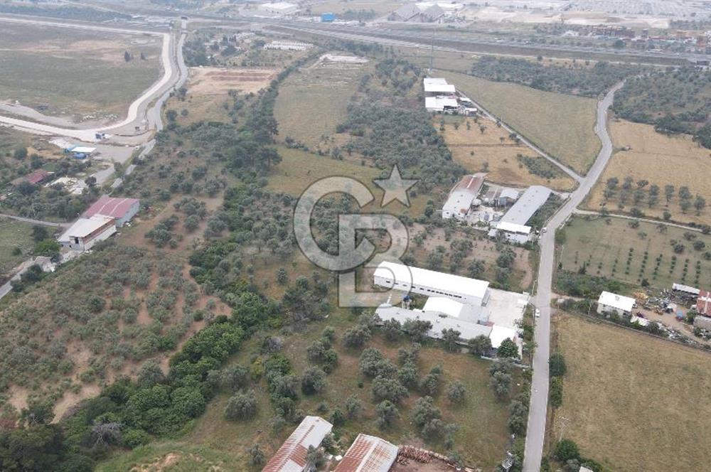 FIRSAT SATILIK ARSA Kemalpaşa Ansızca Köy içinde,