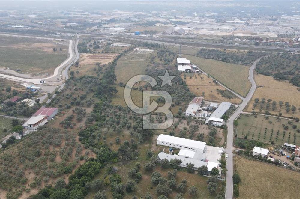 FIRSAT SATILIK Kemalpaşa Ansızca 1840 M2 