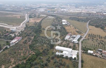 FIRSAT SATILIK Kemalpaşa Ansızca 1840 M2 