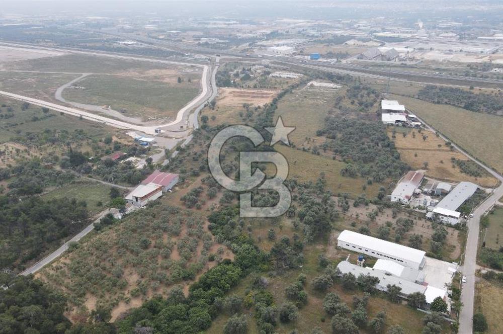 FIRSAT SATILIK ARSA Kemalpaşa Ansızca Köy içinde,