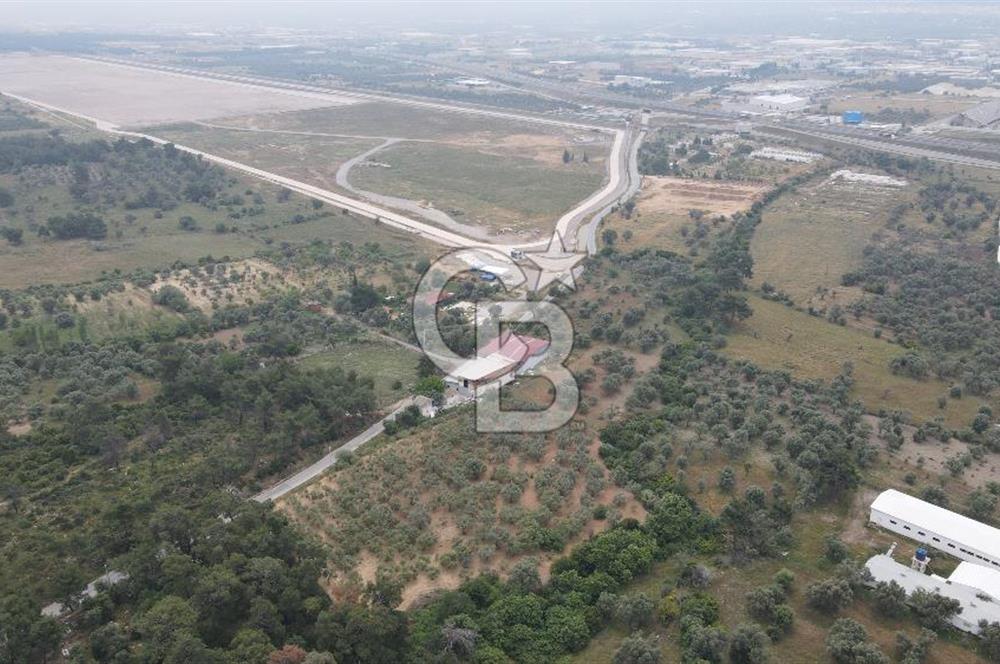 FIRSAT SATILIK Kemalpaşa Ansızca 1840 M2 