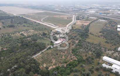 FIRSAT SATILIK Kemalpaşa Ansızca 1840 M2 