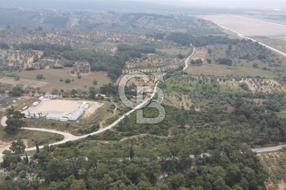 FIRSAT SATILIK Kemalpaşa Ansızca 1840 M2 