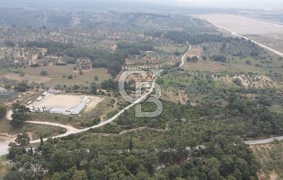 FIRSAT SATILIK Kemalpaşa Ansızca 1840 M2 