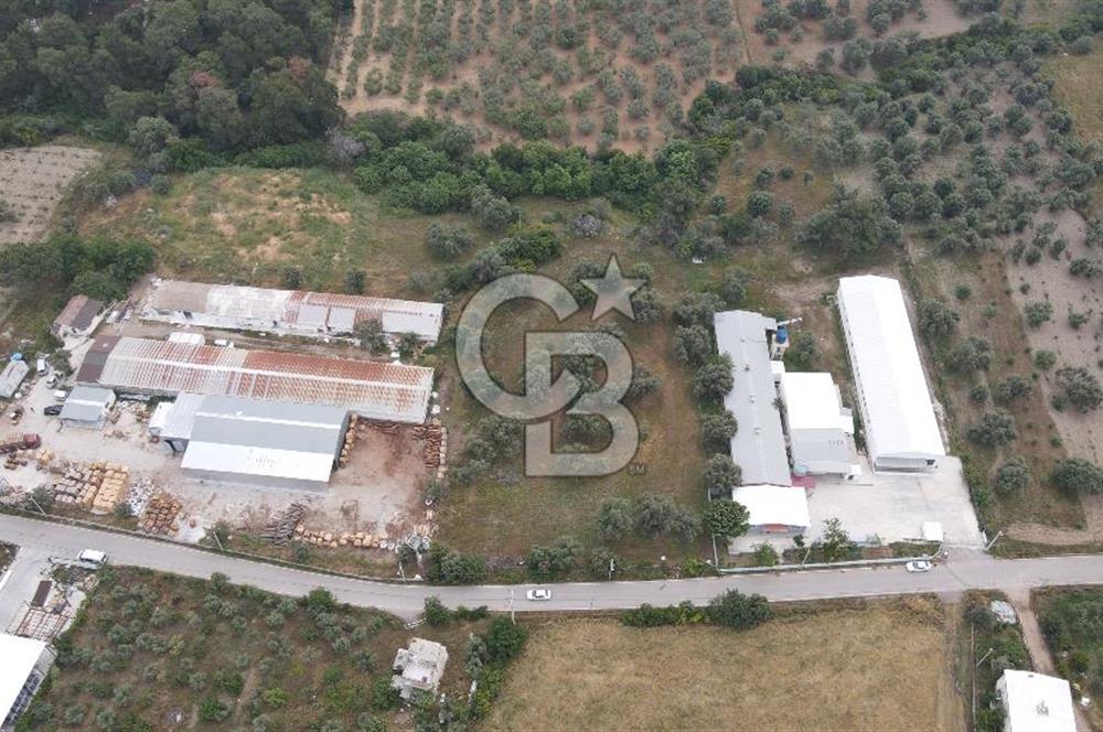 FIRSAT SATILIK ARSA Kemalpaşa Ansızca Köy içinde,