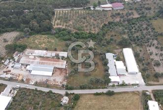 FIRSAT SATILIK Kemalpaşa Ansızca 1840 M2 