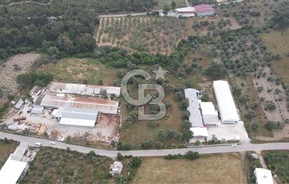 FIRSAT SATILIK Kemalpaşa Ansızca 1840 M2 