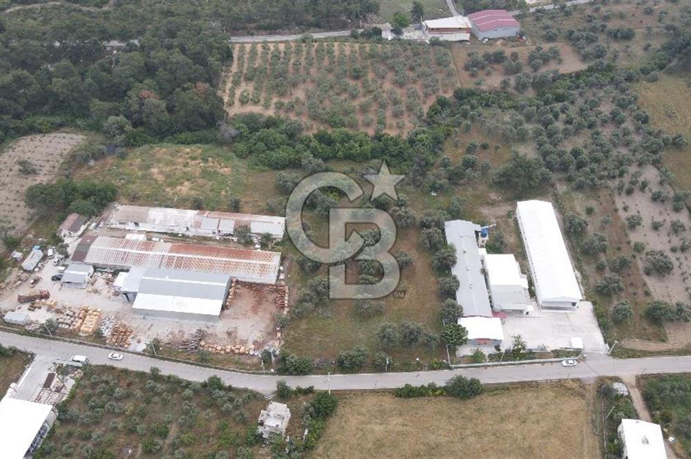 FIRSAT SATILIK Kemalpaşa Ansızca 1840 M2 