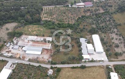 FIRSAT SATILIK Kemalpaşa Ansızca 1840 M2 