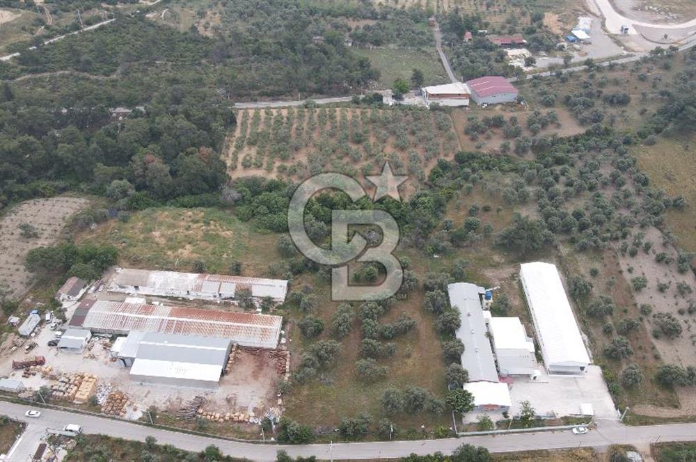 FIRSAT SATILIK Kemalpaşa Ansızca 1840 M2 