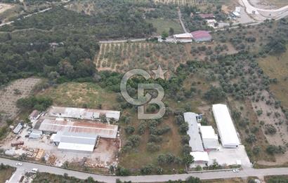 FIRSAT SATILIK Kemalpaşa Ansızca 1840 M2 