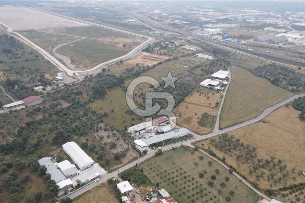 FIRSAT SATILIK Kemalpaşa Ansızca 1840 M2 