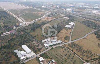 FIRSAT SATILIK Kemalpaşa Ansızca 1840 M2 