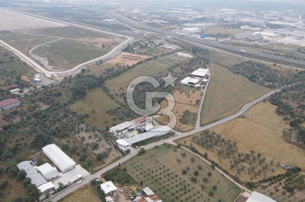 FIRSAT SATILIK Kemalpaşa Ansızca 1840 M2 