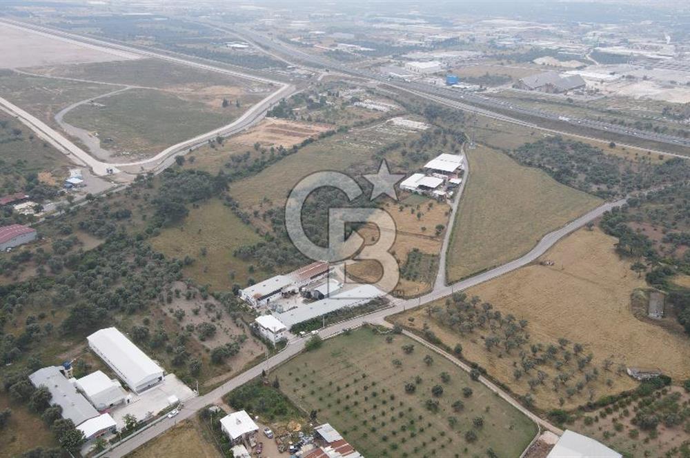 FIRSAT SATILIK Kemalpaşa Ansızca 1840 M2 