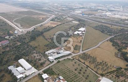 FIRSAT SATILIK Kemalpaşa Ansızca 1840 M2 