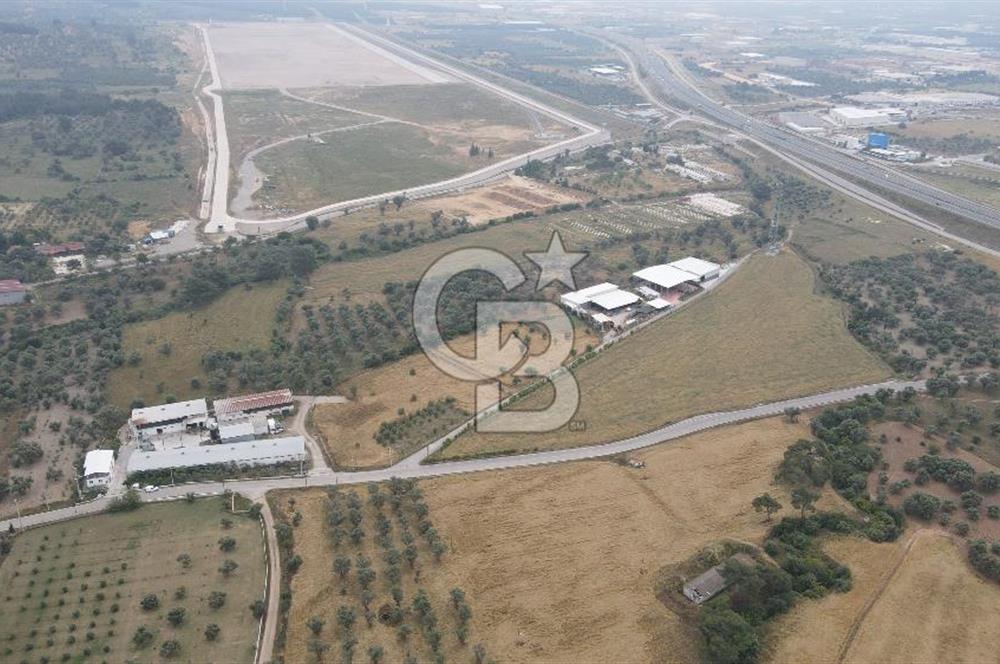 FIRSAT SATILIK Kemalpaşa Ansızca 1840 M2 