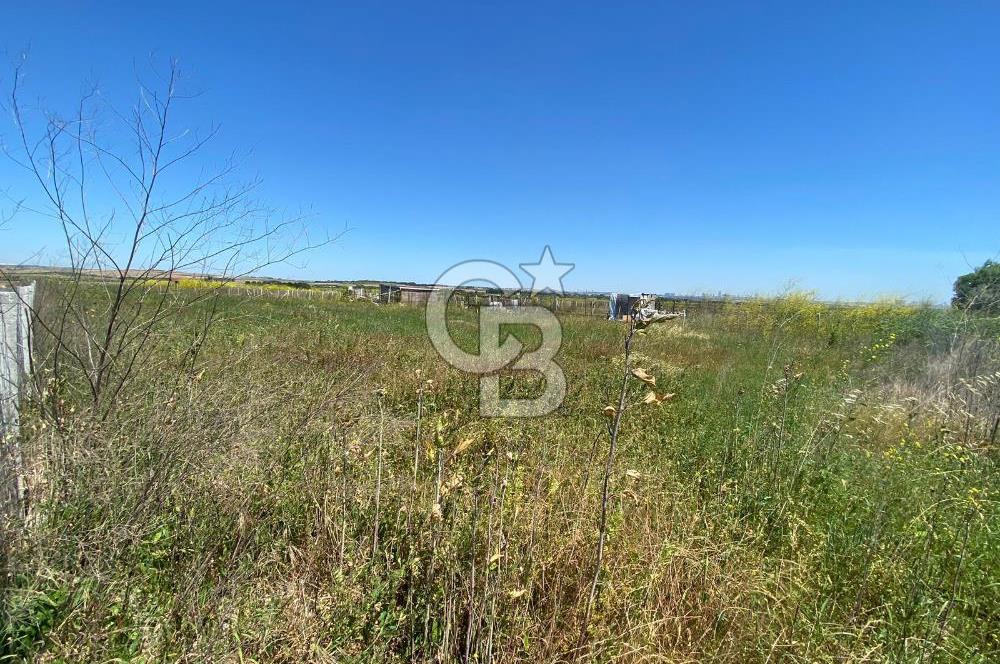 Çatalca Ferhatpaşa’da 1327m2 Satılık 