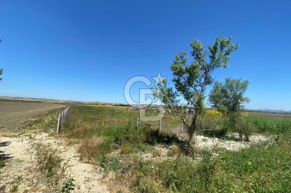 Çatalca Ferhatpaşa’da 1327m2 Satılık 