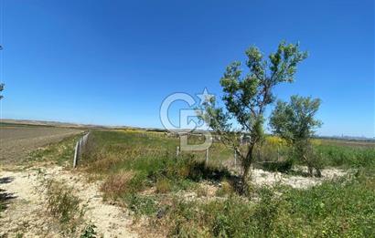 Çatalca Ferhatpaşa’da 1327m2 Satılık 