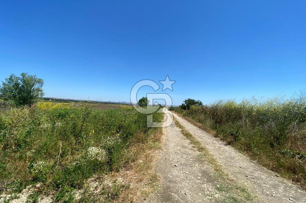 Çatalca Ferhatpaşa’da 1327m2 Satılık 