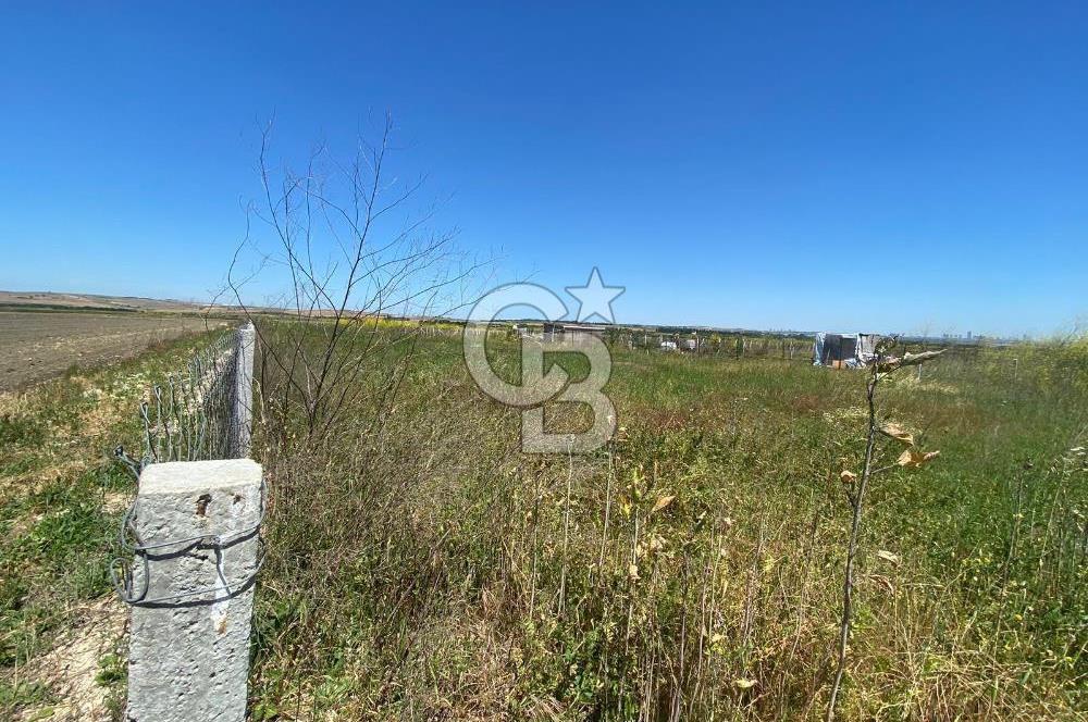 Çatalca Ferhatpaşa’da 1327m2 Satılık 