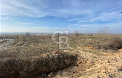 Yatırımlık tarl