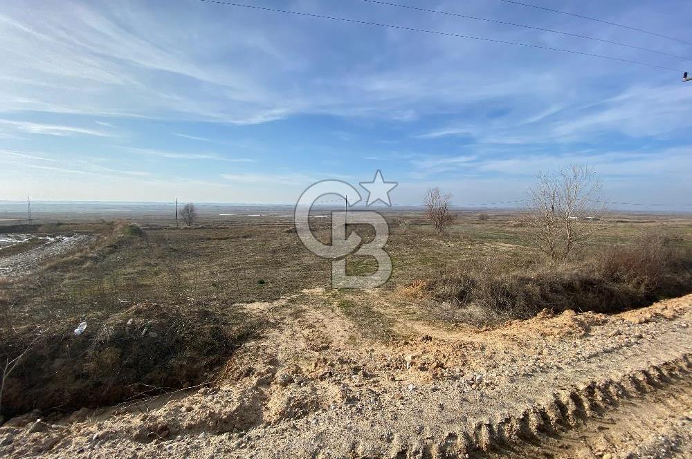 Yatırımlık tarl