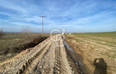 Yatırımlık tarl